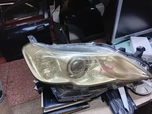 Mark X 2010 Headlights