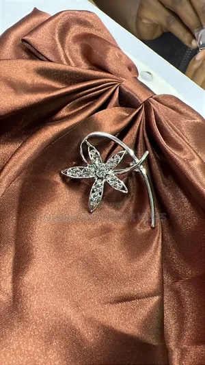 Silver Elegant Brooches