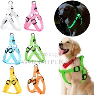 Led Light Pet Harness Nylon Chest Strap Leash