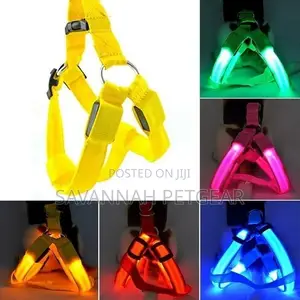 Led Light Pet Harness Nylon Chest Strap Leash