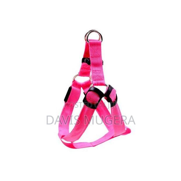 Led Light Pet Harness Nylon Chest Strap Leash - thumbnail 4