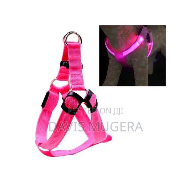 Led Light Pet Harness Nylon Chest Strap Leash - thumbnail 6