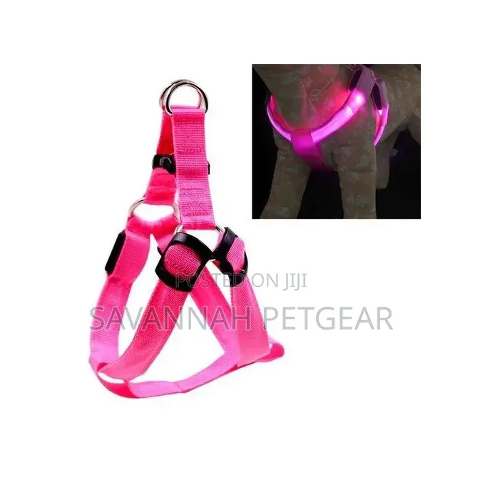 Led Light Pet Harness Nylon Chest Strap Leash