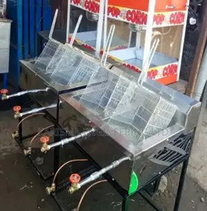Well Crafted Stainless Steel Gas Double Fryer