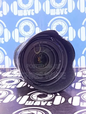 Canon 24-105f4 Red Ring Lens