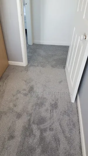 Stain-Resistant Vip Carpet