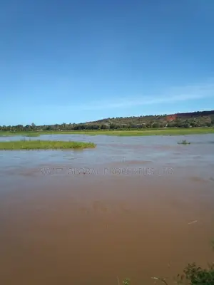 420 Acres Touching River in Malindi Is Available for Sale