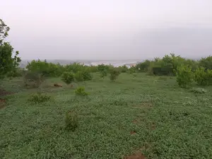 420 Acres Touching River in Malindi Is Available for Sale