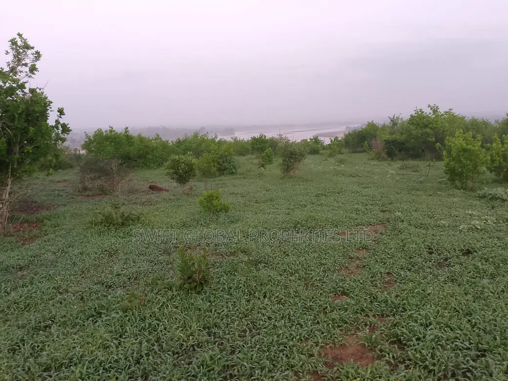 420 Acres Touching River in Malindi Is Available for Sale