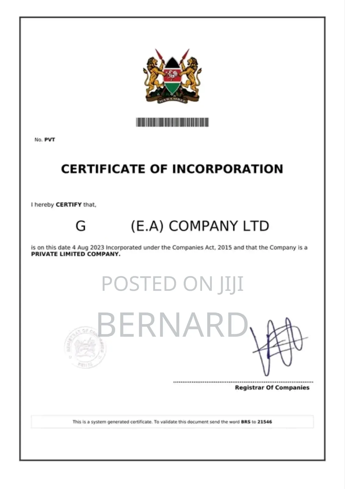 Business Registration Services