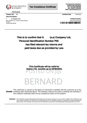 Business Registration Services