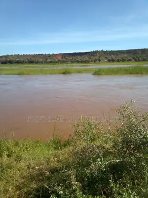 220 Prime Acres Touching Galana River in Malindi Is for Sale