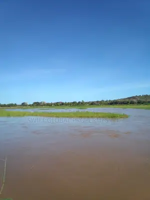 220 Prime Acres Touching Galana River in Malindi Is for Sale