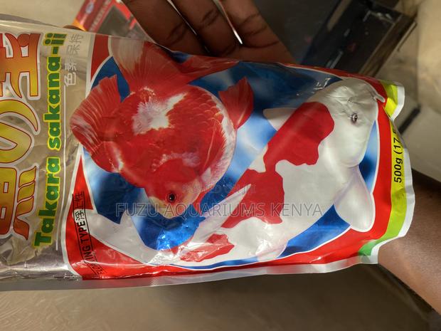 Protein-Rich Pellets – Grow Big, Healthy Fish - main view