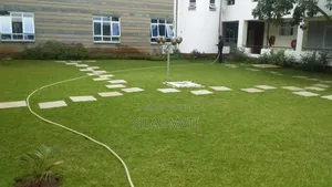 Arabica Grass