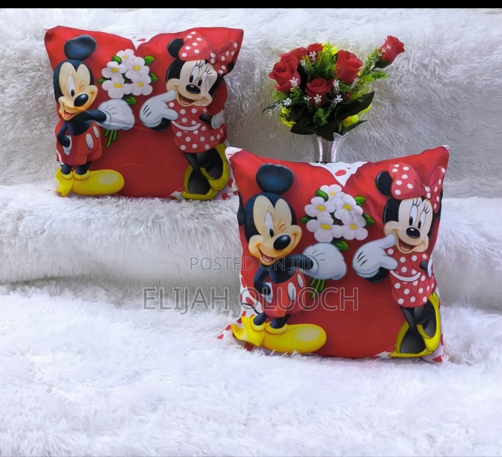 Cartoon Themed Pillow Covers