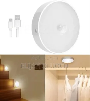Intelligent Induction Lamp