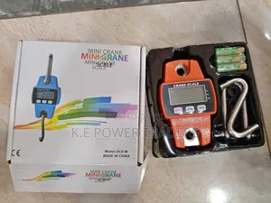 Digital 300kg Crane Scale