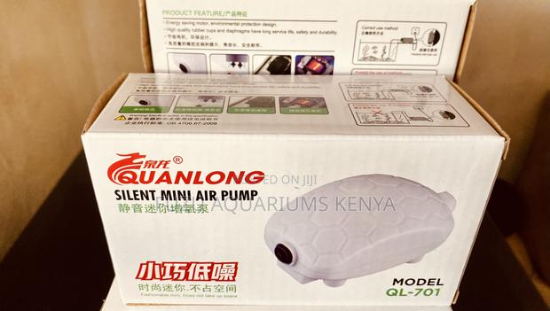 Best Budget Air Pump – Quiet Efficient - main view