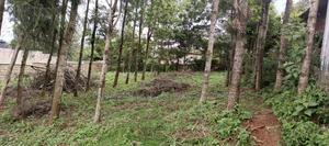 50*100 Plot for Sale in Ngong - main view