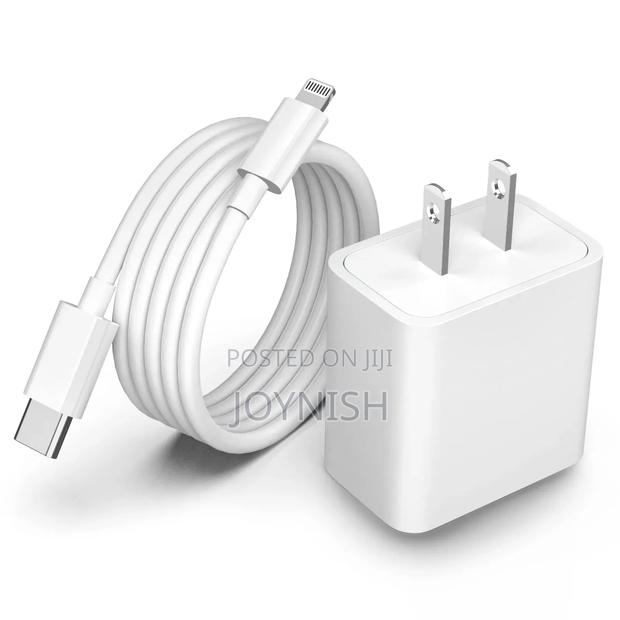 iPhone Charger - main view