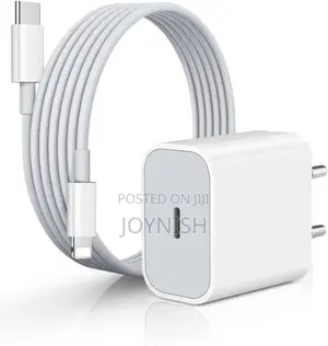 iPhone Charger