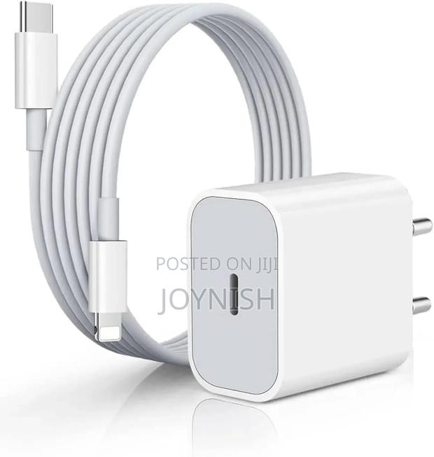 iPhone Charger - thumbnail 3