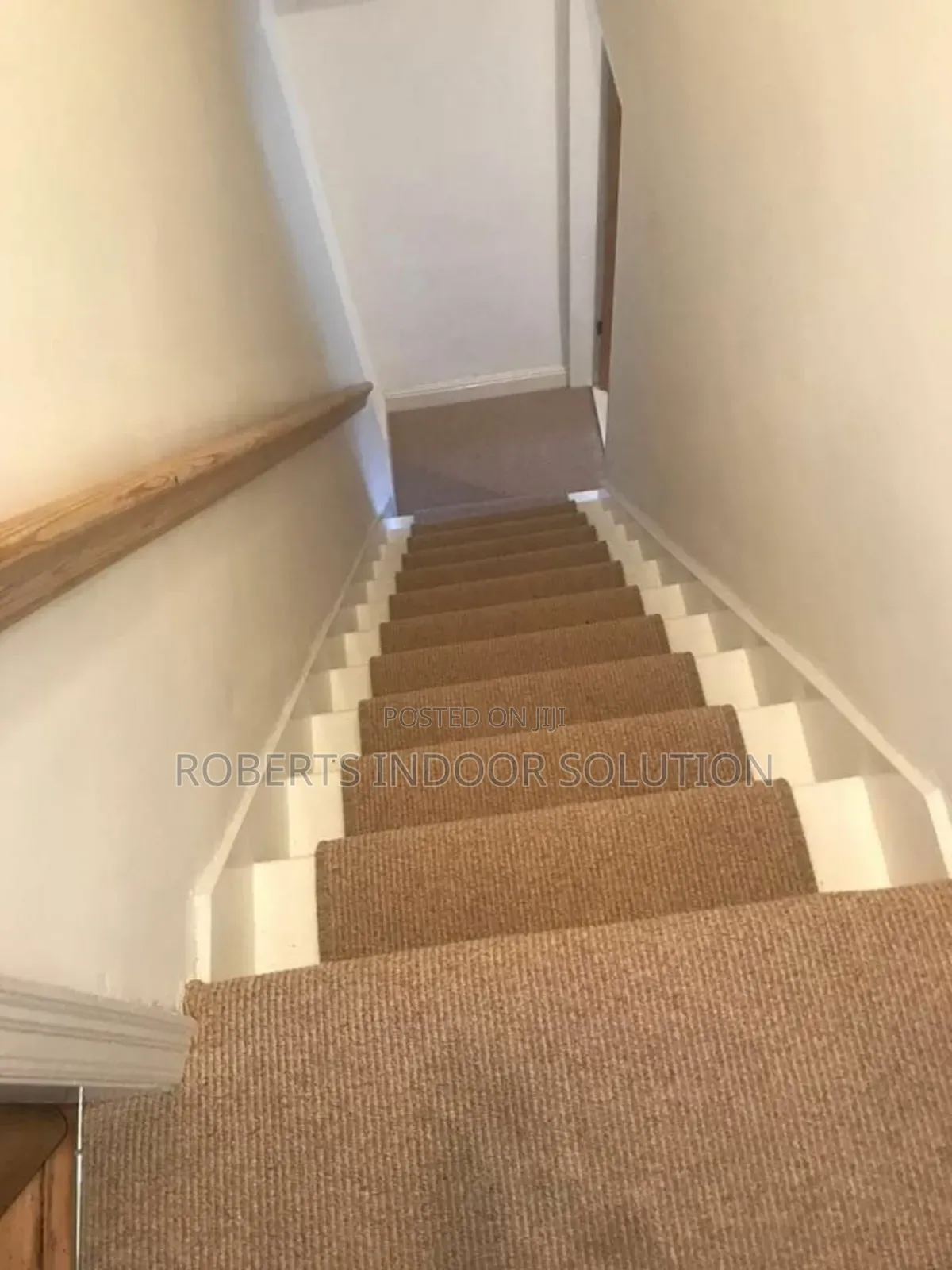 Delta Carpets Soft Steps Warm Embrace 