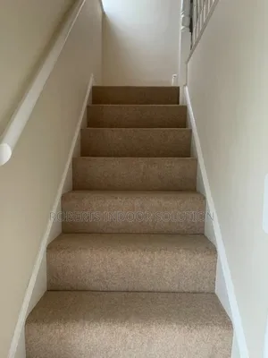 Delta Carpet Bliss Where Comfort and Style Meets