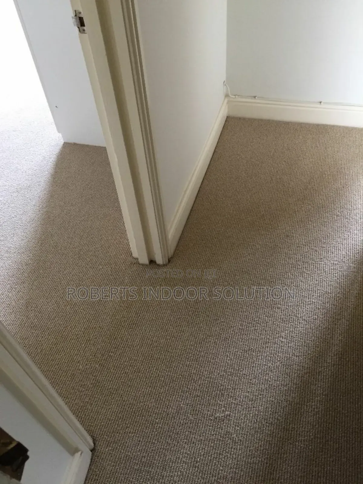 Delta Carpet Bliss Where Comfort and Style Meets