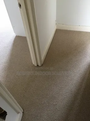 Delta Carpet Bliss Where Comfort and Style Meets