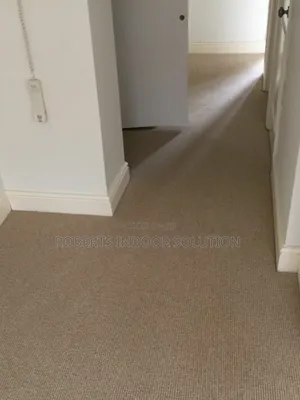 Delta Carpet Adding a Touch of Elegance to Any Room
