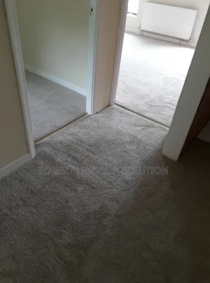 With Delta Carpet Discover Beauty of a Well Chosen Carpet