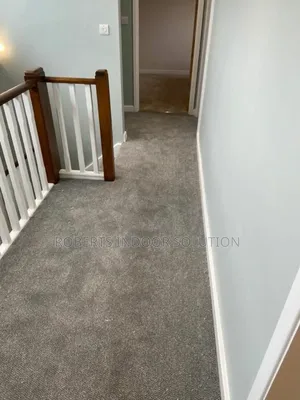 With Delta Carpet Discover Beauty of a Well Chosen Carpet