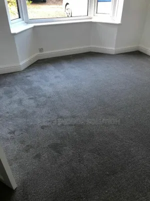 Delta Carpet Perfect Touch of Warmth and Luxury