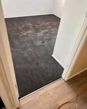 Delta Carpet From Plush to Patterned