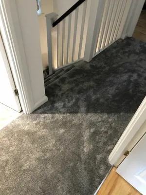 Delta Carpet From Plush to Patterned