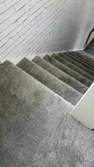 Delta Carpet From Plush to Patterned