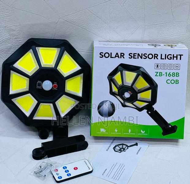 Solar Sensor Light 100watts - main view