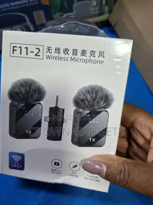 F11-2 Wireless Microphone