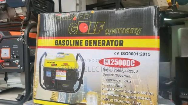 1kva Golf Generator - main view