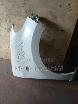 Ex Japan Passo 2017/2018 New Model Wing /Fender