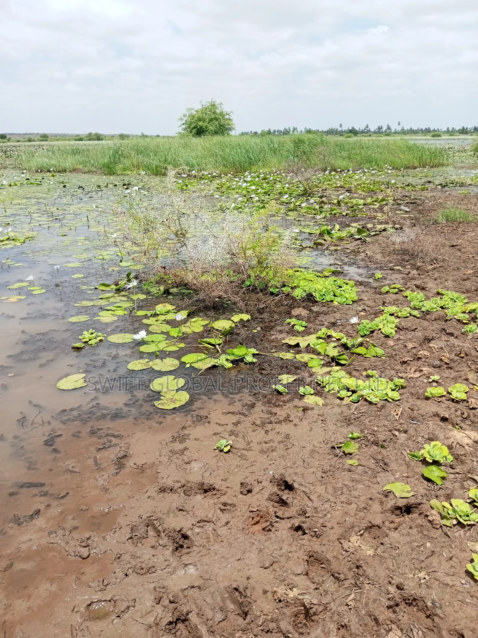 Over 20,000 Acres Block With Water Is Available for Lease