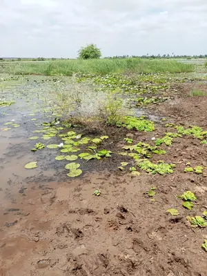Over 20,000 Acres Block With Water Is Available for Lease