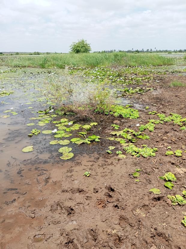 Over 20,000 Acres Block With Water Is Available for Lease