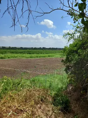 Over 20,000 Acres Block With Water Is Available for Lease