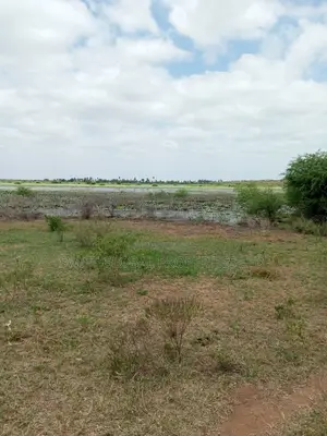 Over 20,000 Acres Block With Water Is Available for Lease