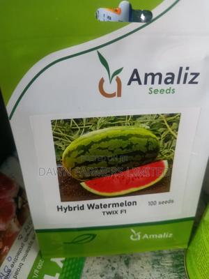 Hybrid Watermelon Twix 100seeds - main view