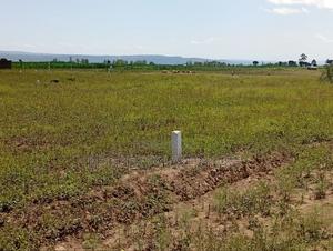 Mutaita 50 by 100 Plots - thumbnail 2