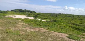 24,000 Acres With Water Is Available for Sale in Malindi